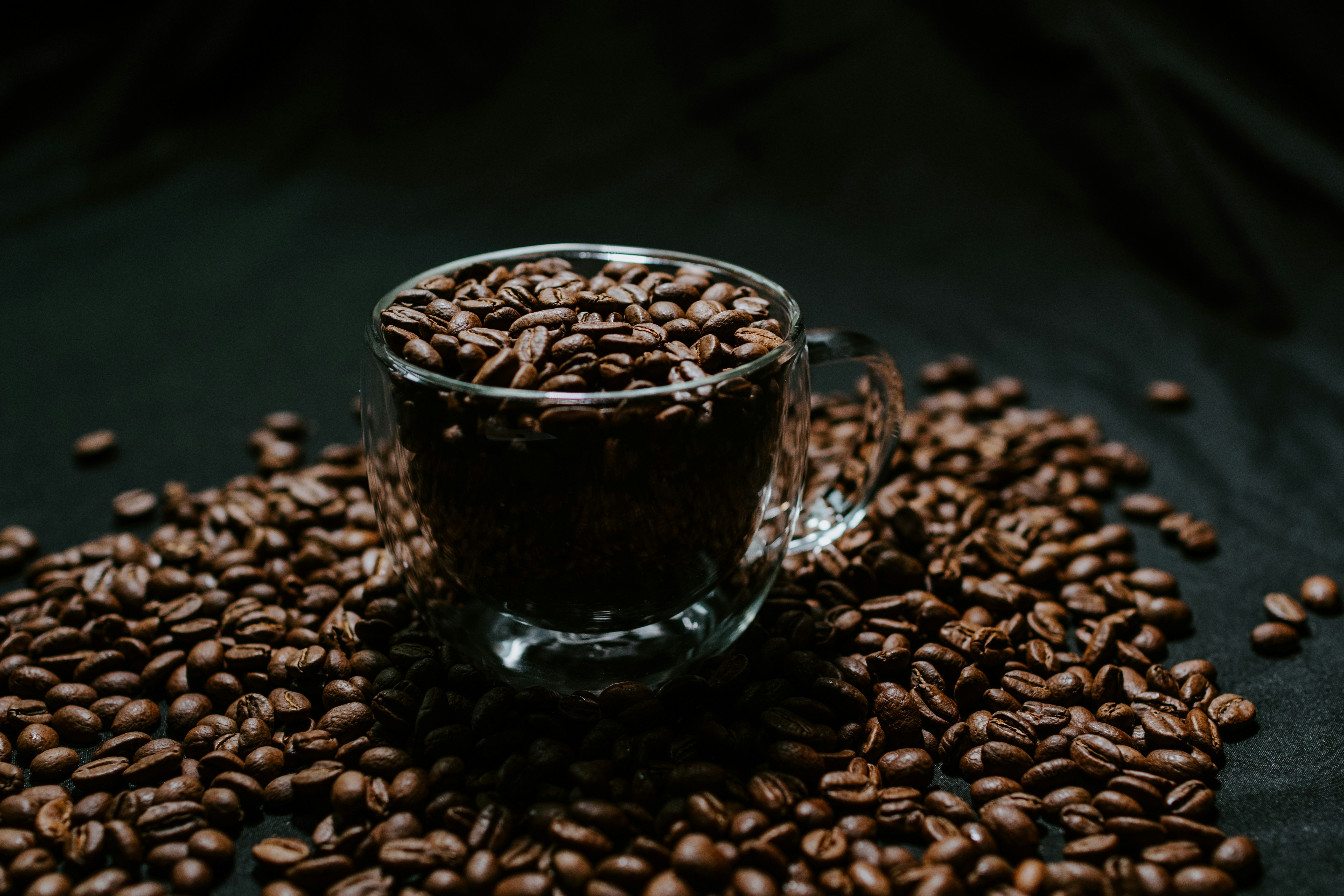 kopi 98 pakusorok
